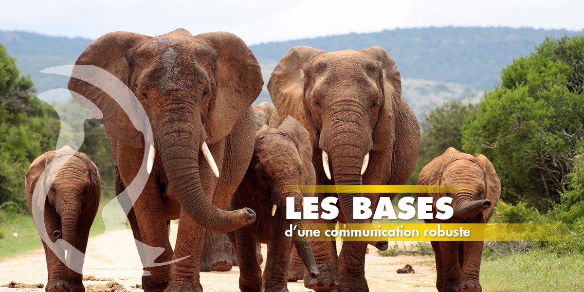 Communication visuelle